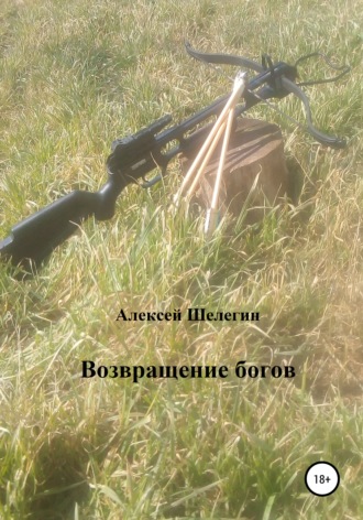 Обложка книги «Возвращение богов»