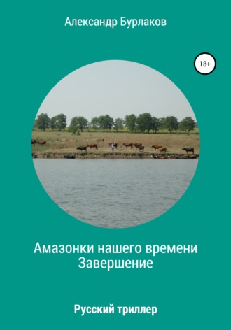 Обложка книги «Амазонки нашего времени. Завершение»