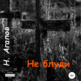 Обложка книги «Не блуди»