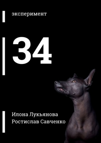 Илона Романовна Лукьянова. 34