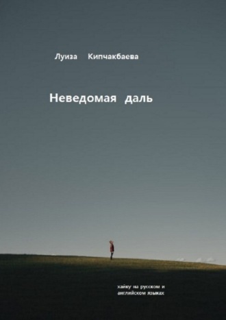 Обложка книги «Неведомая даль»