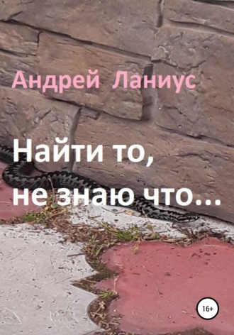 Обложка книги «Найти то, не знаю что...»