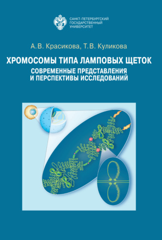 Обложка книги «Хромосомы типа ламповых щеток. Современные представления и перспективы исследований»