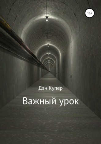 Обложка книги «Важный урок»