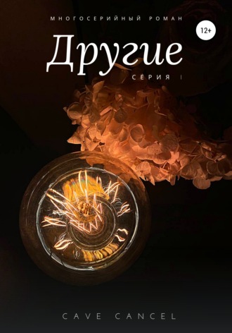 Обложка книги «Другие»