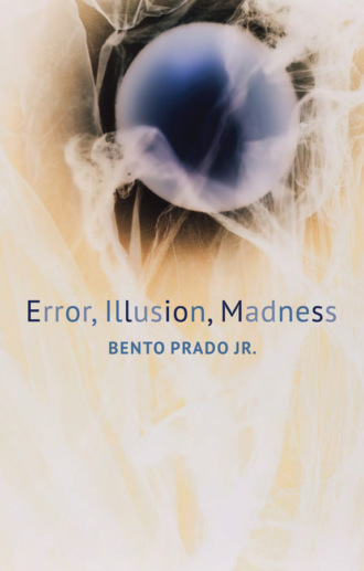 Bento Prado, Jr.. Error, Illusion, Madness