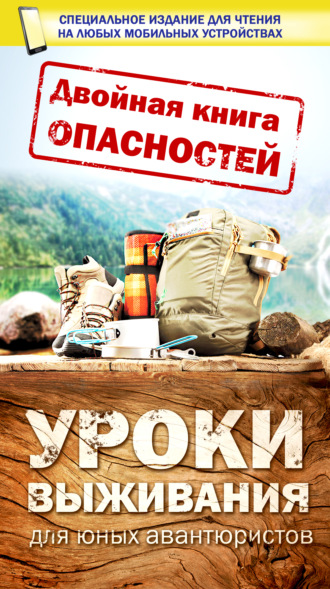Обложка книги «Двойная книга опасностей. Уроки выживания юных авантюристов»