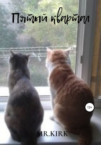 Mr.KIRK. Пятый квартал