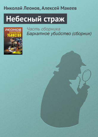 Обложка книги «Небесный страж»