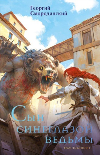 Обложка книги «Сын синеглазой ведьмы»