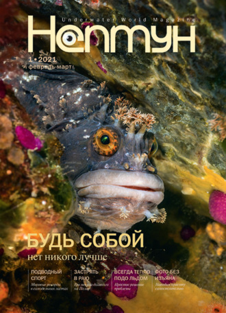 Обложка книги «Нептун №1/2021»