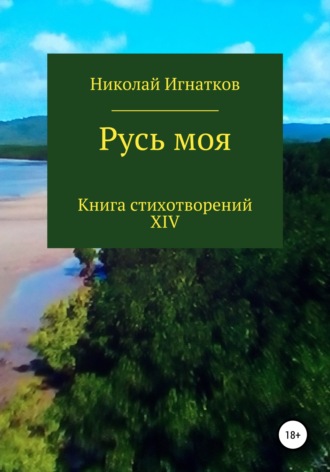 Обложка книги «Русь моя. Книга XIV»