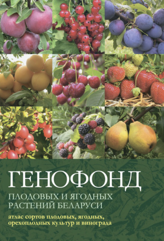 Обложка книги «Генофонд плодовых и ягодных растений Беларуси: атлас сортов плодовых, ягодных, орехоплодных культур и винограда»