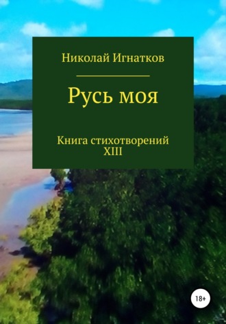 Обложка книги «Русь моя. Книга XIII»