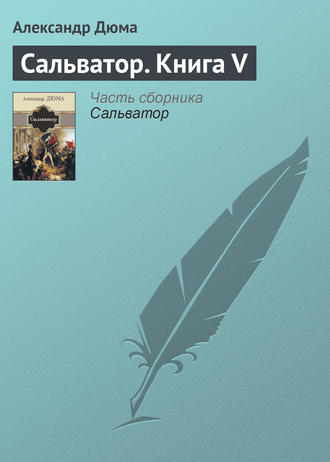 Обложка книги «Сальватор. Книга V»