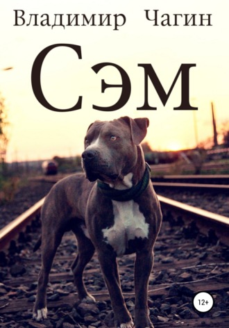 Обложка книги «Сэм»