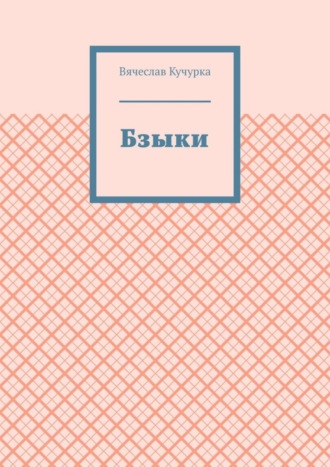 Обложка книги «Бзыки»