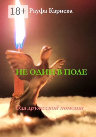 Обложка книги «Не один в поле. Ода дружеской помощи»