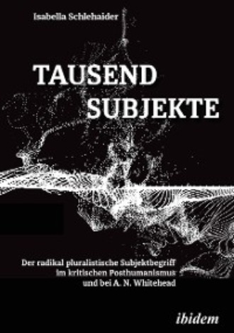 Isabella Schlehaider. Tausend Subjekte