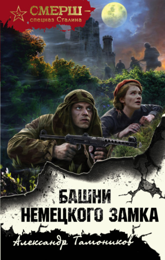 Обложка книги «Башни немецкого замка»