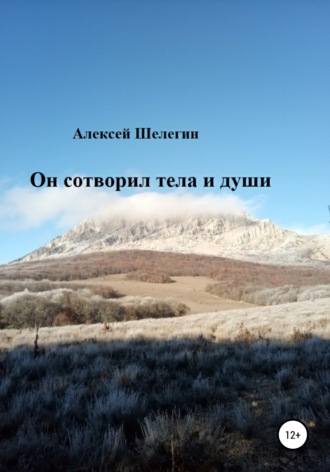 Алексей Владимирович Шелегин. Он сотворил тела и души