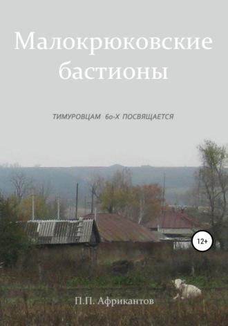 Пётр Петрович Африкантов. Малокрюковские бастионы