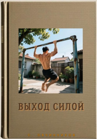 Выход силой. Сергей Овчинников