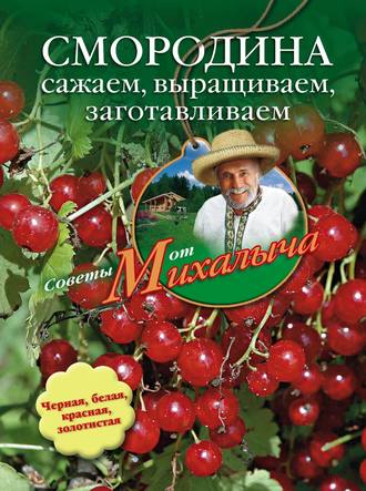 Обложка книги «Смородина. Сажаем, выращиваем, заготавливаем»