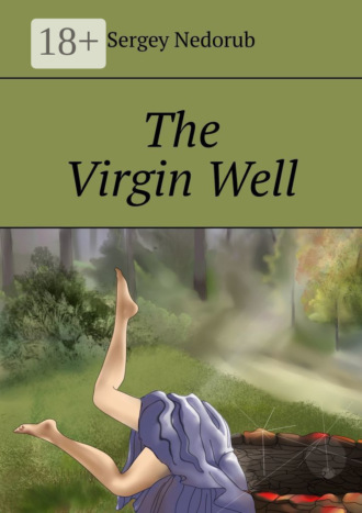 Обложка книги «The Virgin Well»