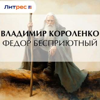 Обложка книги «Федор Бесприютный»