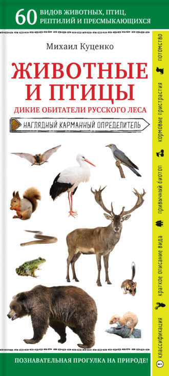 Михаил Куценко. Животные и птицы. Дикие обитатели русского леса