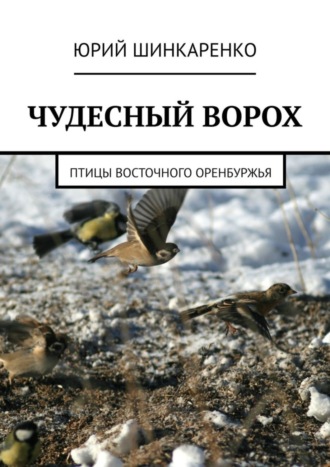 Обложка книги «ЧУДЕСНЫЙ ВОРОХ. Птицы Восточного Оренбуржья»
