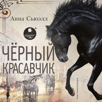 Обложка книги «Черный Красавчик»