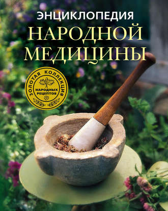 Обложка книги «Энциклопедия народной медицины. Золотая коллекция народных рецептов»