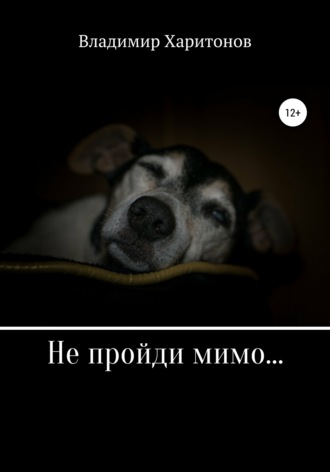 Обложка книги «Не пройди мимо…»