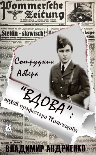 Обложка книги ««Вдова»: архив профессора Пильчикова»