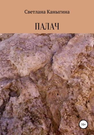 Обложка книги «Палач»
