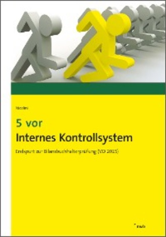 Hans J. Nicolini. 5 vor Internes Kontrollsystem