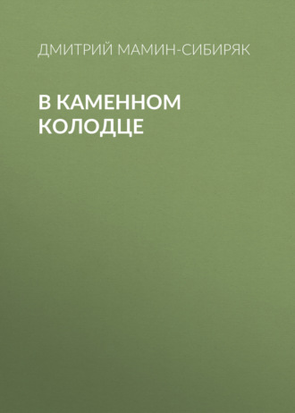 Обложка книги «В каменном колодце»