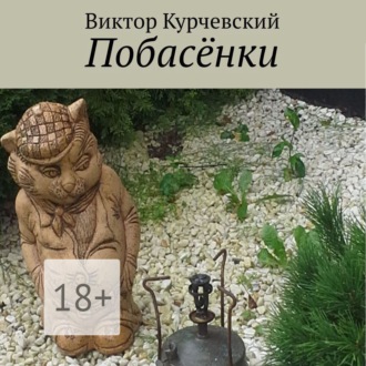 Обложка книги «Побасёнки»