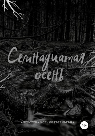 Обложка книги «Семнадцатая осень»