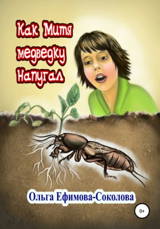 Обложка книги «Как Митя медведку напугал»