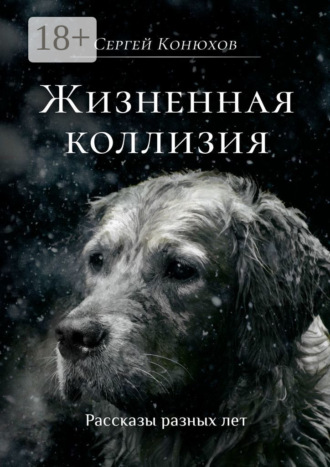 Обложка книги «Жизненная коллизия»