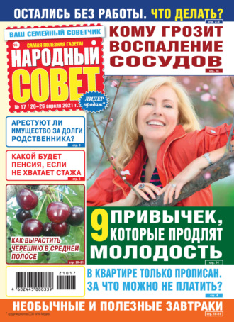 Обложка книги «Народный совет №17/2021»