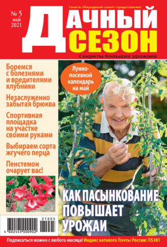 Обложка книги «Дачный сезон №05/2021»