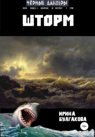 Обложка книги «Шторм»