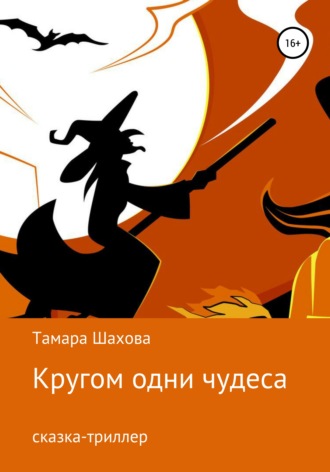 Обложка книги «Кругом одни чудеса»
