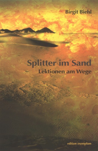 Birgit Biehl. Splitter im Sand