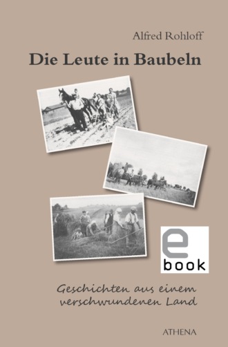 Alfred Rohloff. Die Leute in Baubeln