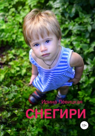 Обложка книги «Снегири»